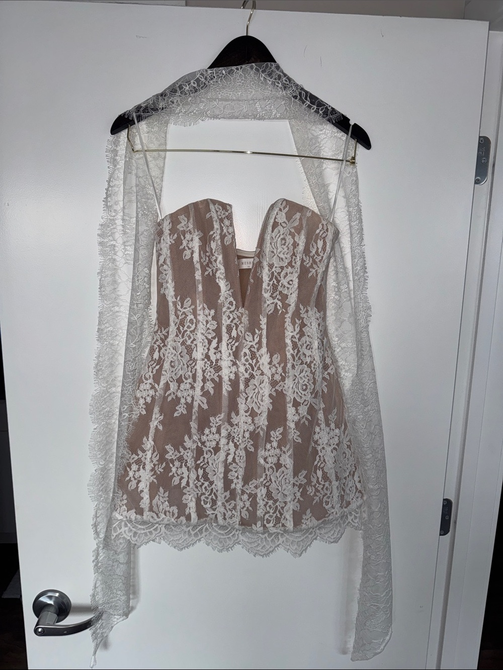 ZOEY Meshki Strapless Lace Mini Dress in Blush and Ivory